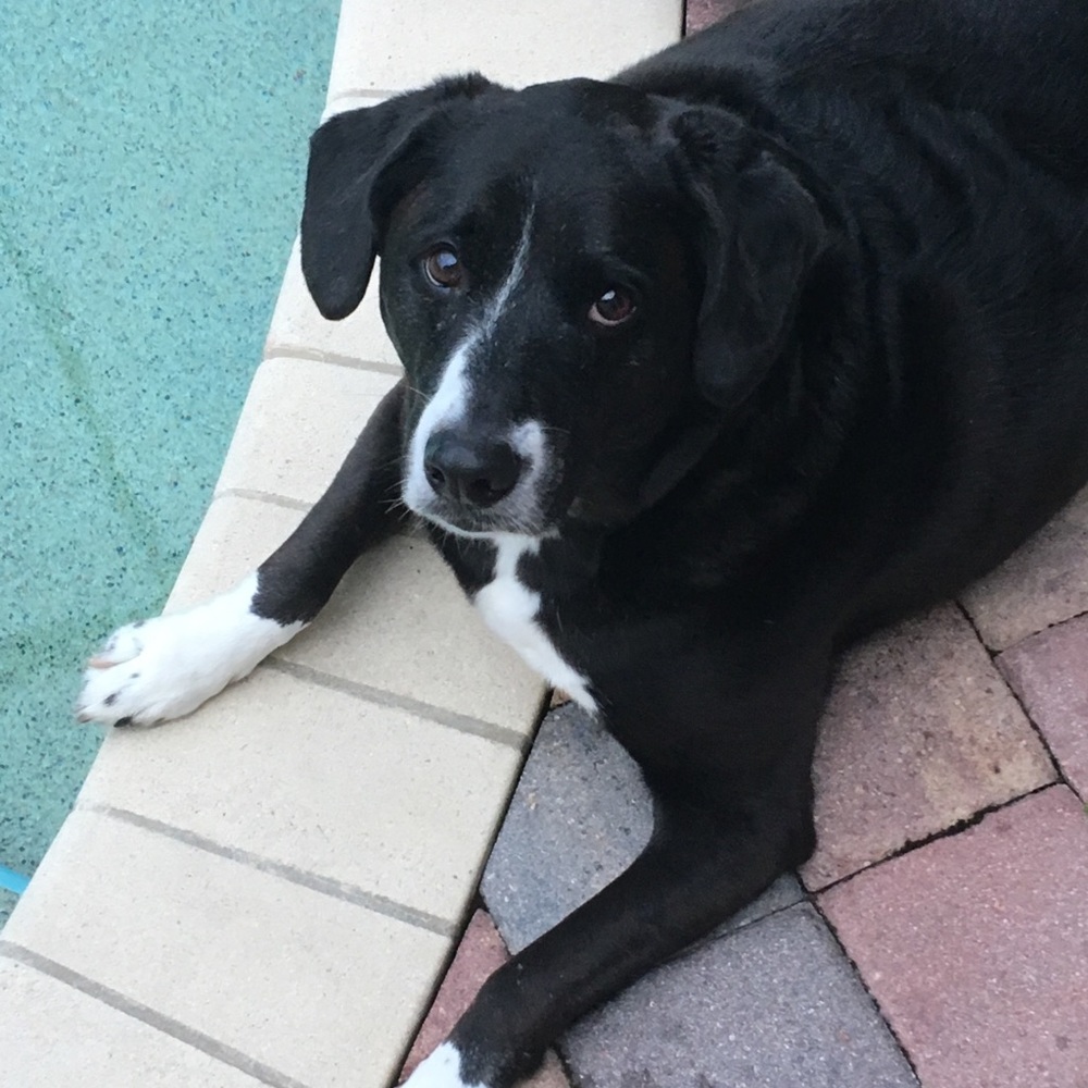 Meet your Posher, Elena